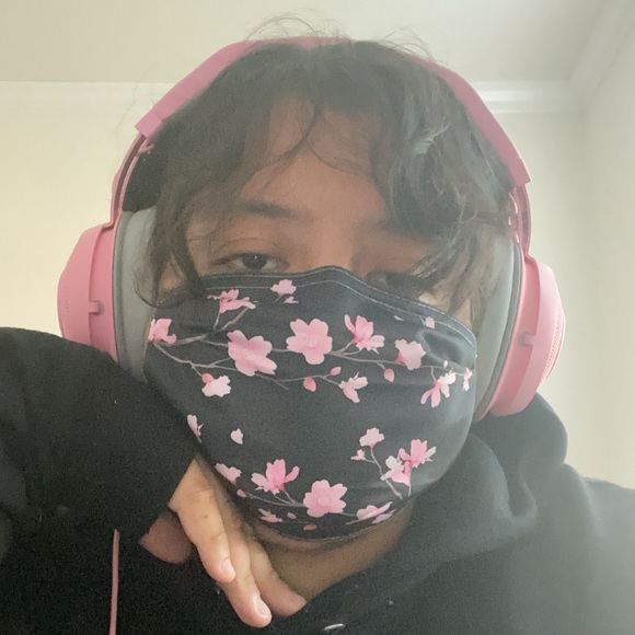 Meet your Posher, Sam - Picture 1 of 1